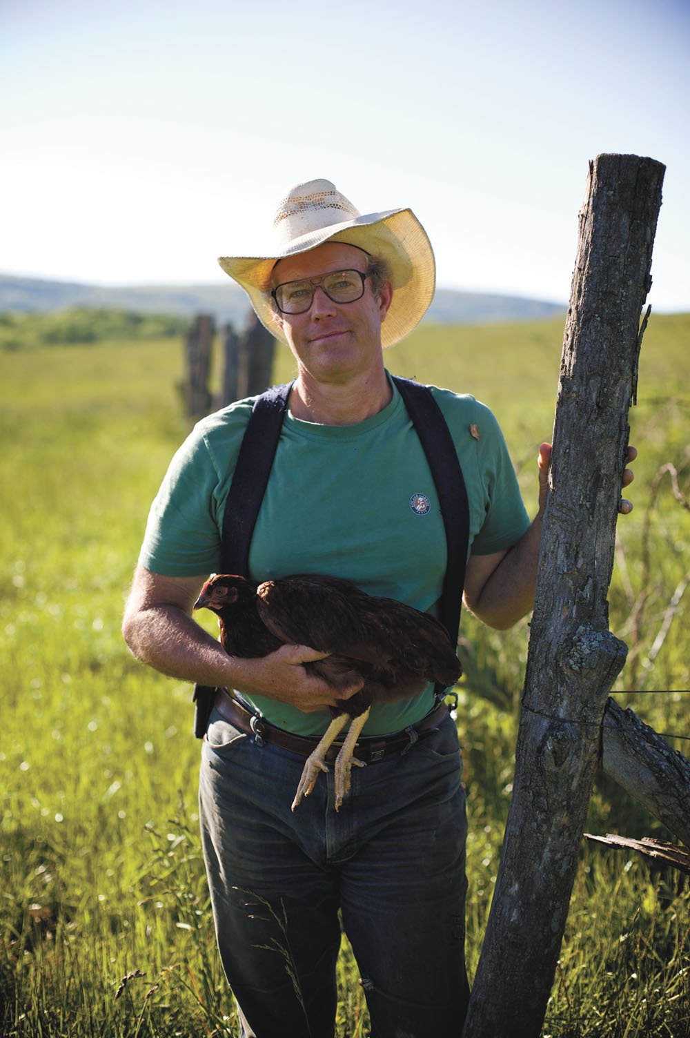 Salatin’s healthy chickens and pigs are raised to nurture natural ecosystems rather than trample them.