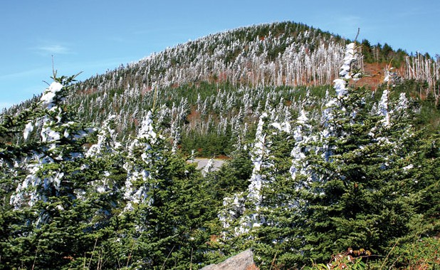 Blue Ridge Outdoors Three Way: Guide to Mount Mitchell