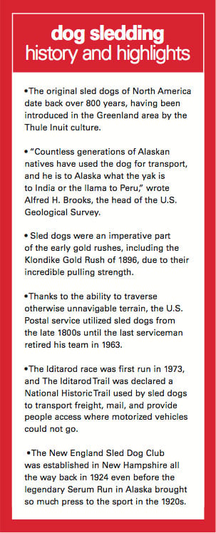 History of Dog Sledding in the South