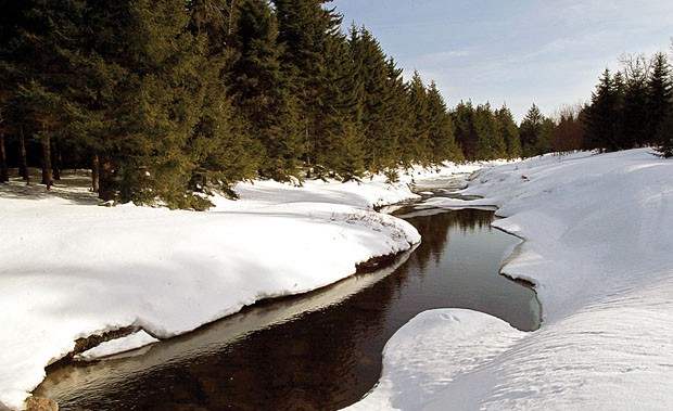 snowmelt gathers in red creek, which flows through the heart of the dolly sods wilderness.