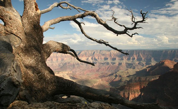 The federal government stopped future mining at and around Grand Canyon National Park