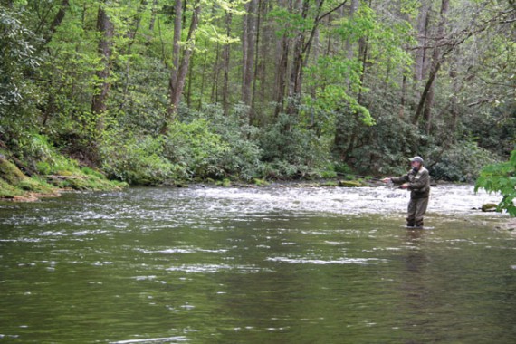 Fly fishing on the Nolichucky