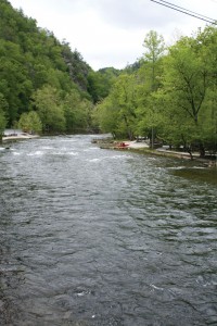 Davidson River