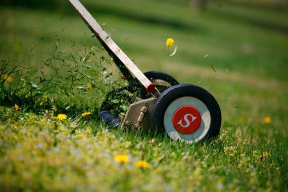 Reel mower cutting grass