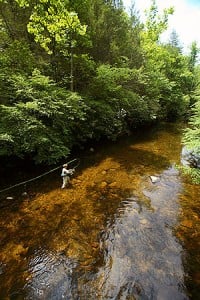 fishing in Monongahela National Forest on Elk River