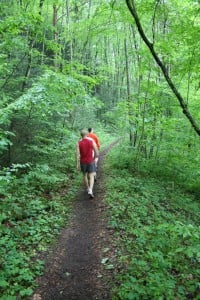 hike the Tanawha Trail
