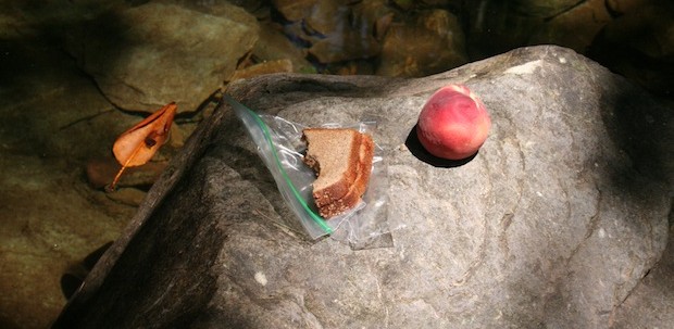 Peanut Butter and Jelly Sandwich: The Perfect Trail Food