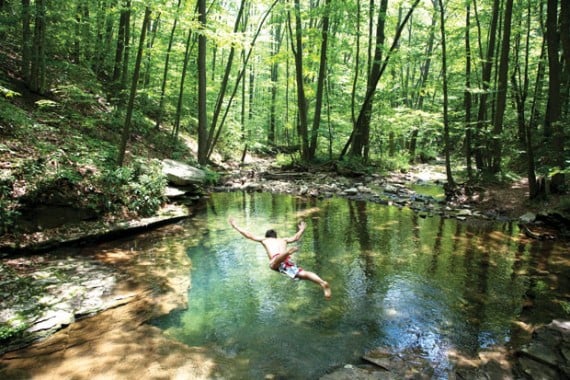 Alleghany Swimming Hole