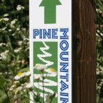At the cross roads of the Pine Mountain Trail