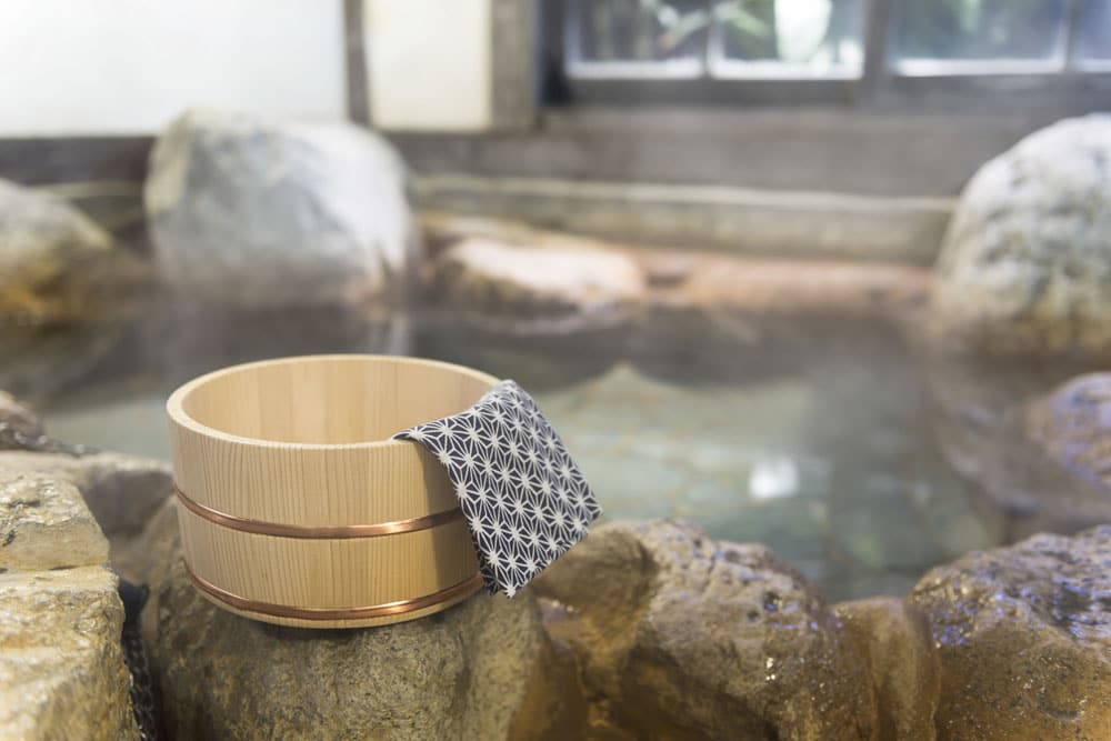 Guide to Southern Healing Waters, Hot Springs, and Mineral Springs