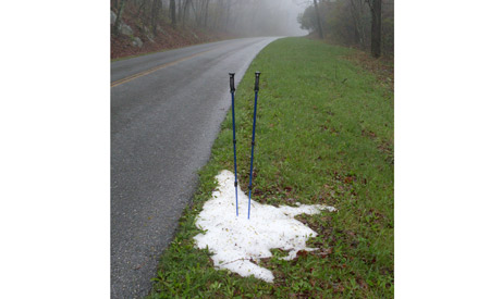 Remnants of snow on Apple Orchard Mountain – the highest point on the Parkway motor road in Virginia. 