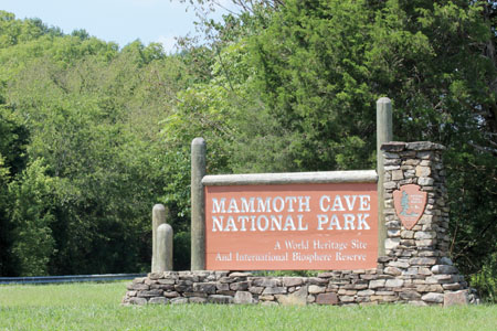 Mammoth Cave National Park was officially established on July 1, 1941. In 1981 it was designated as a World Heritage Site and in 1990 it became the core area of an International Biosphere Reserve. The first tour of Mammoth Cave was in 1816. Photo: Jess Daddio