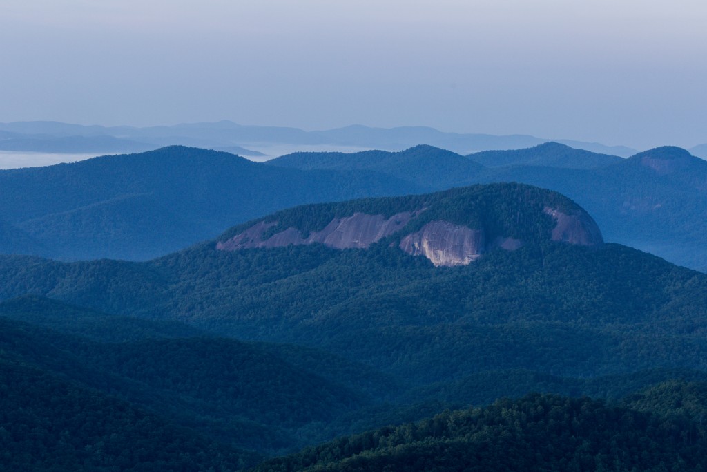 BREVARD-LOOKINGGLASS