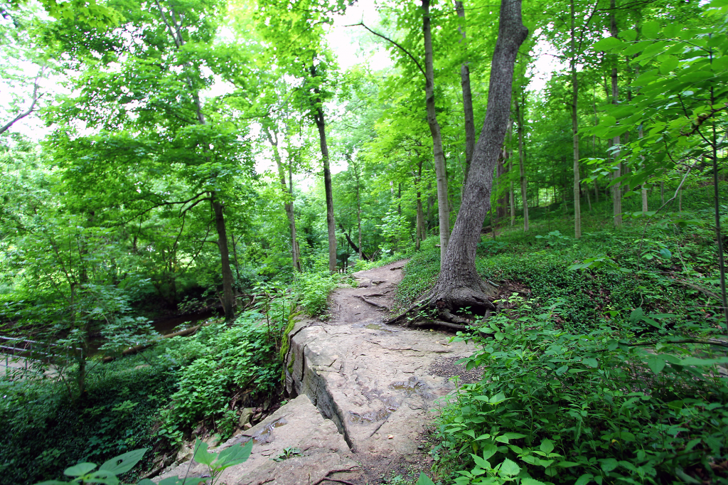 Cherokee-Trails-II