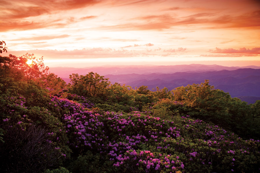 New Protections Proposed for Pisgah National Forest