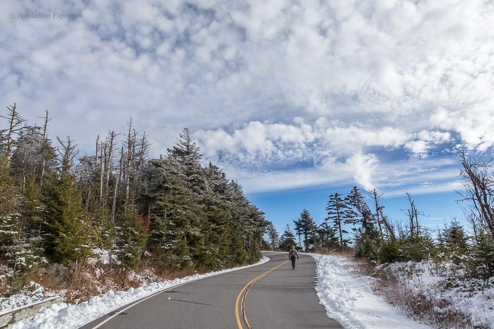 12493522_10156433115345183_9050124854744191390_o