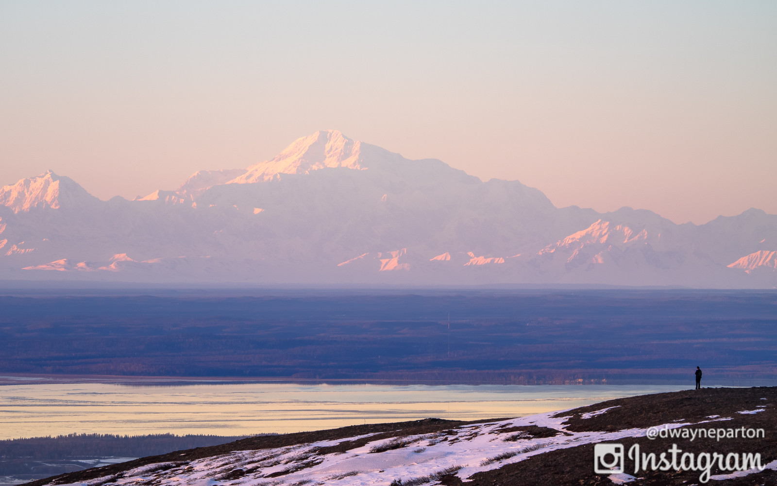 View of Denali from Flattop