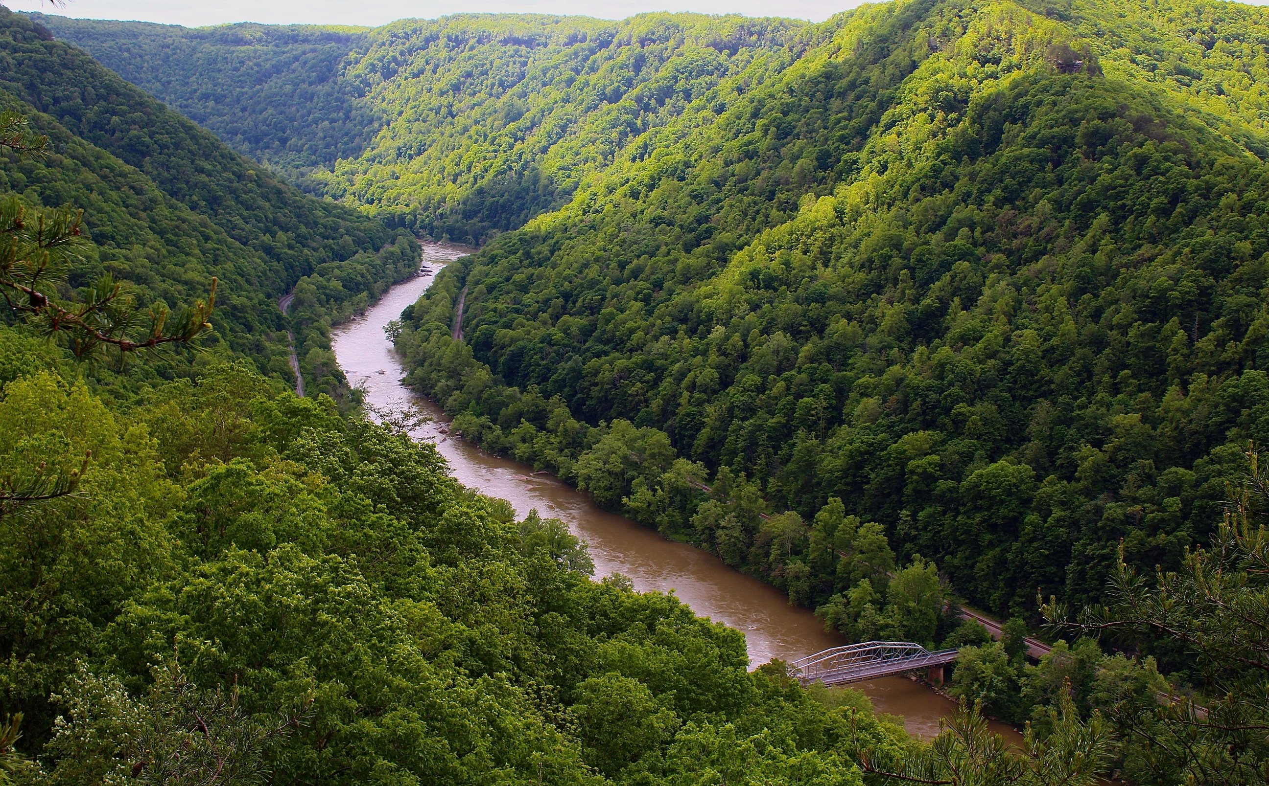 An Insider's Guide to Exploring the New River National River Go