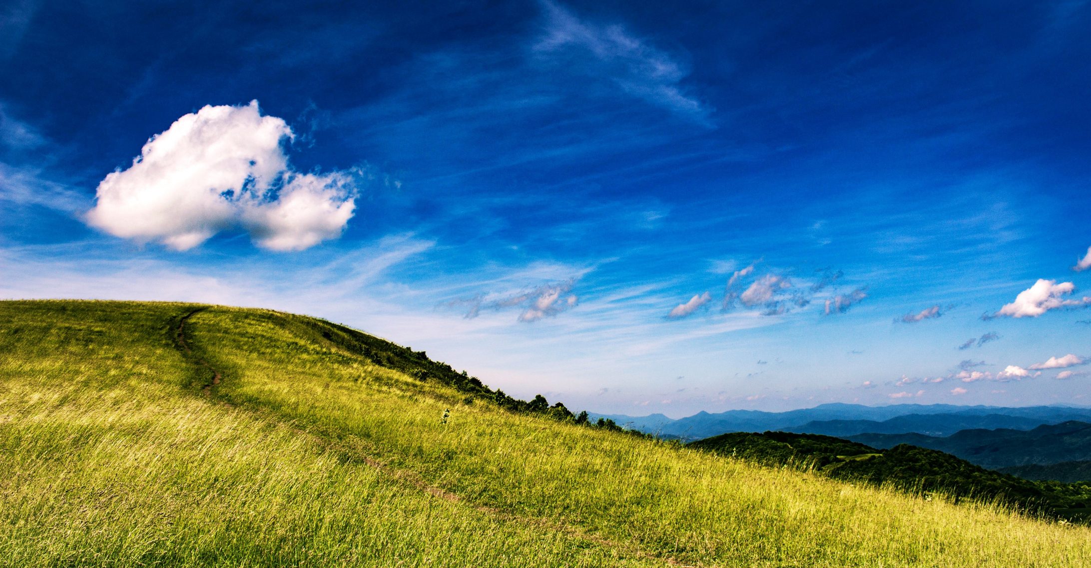 4summersdayonmaxpatch