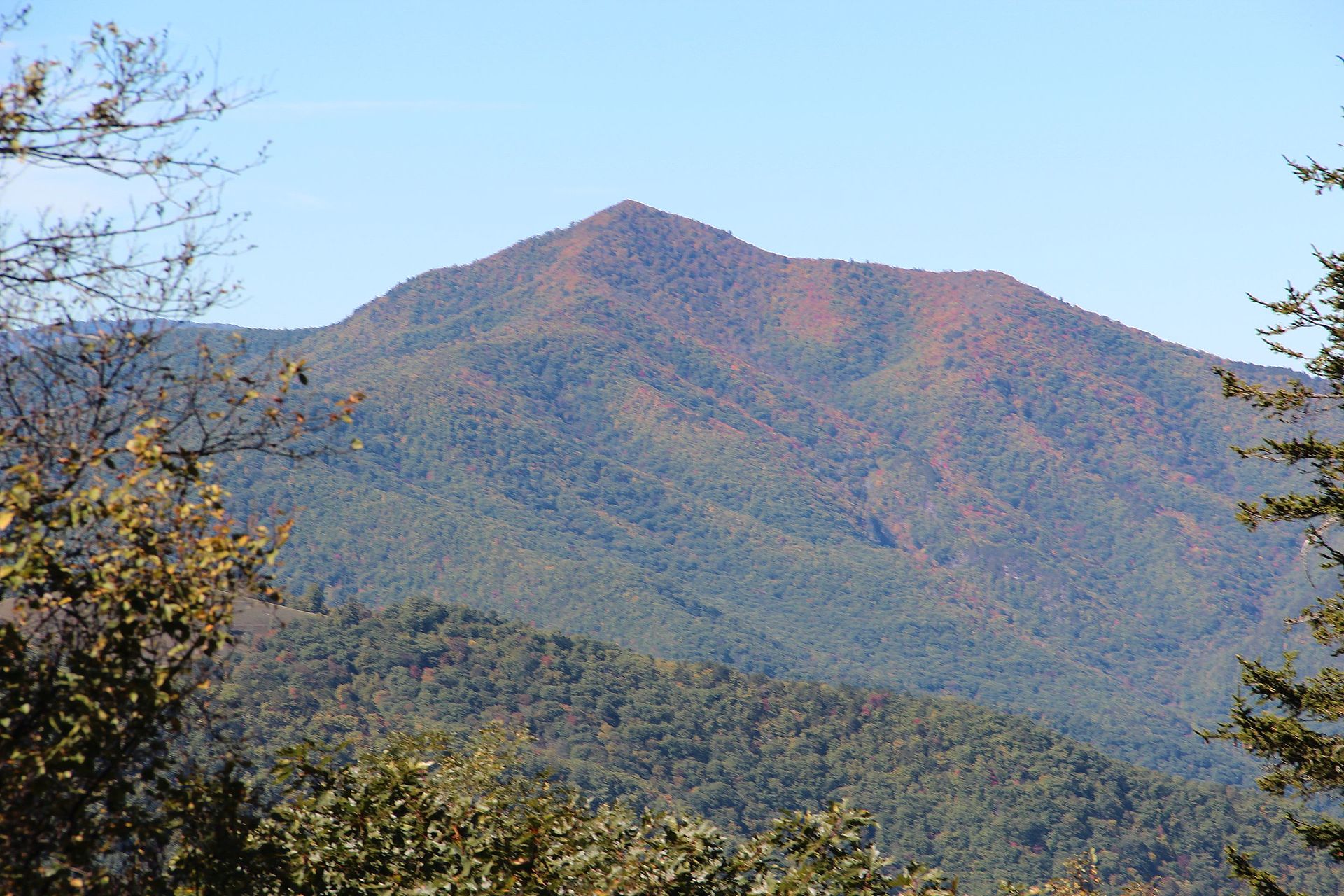 Trails Closed in Pisgah National Forest in Wake of Cold Mountain