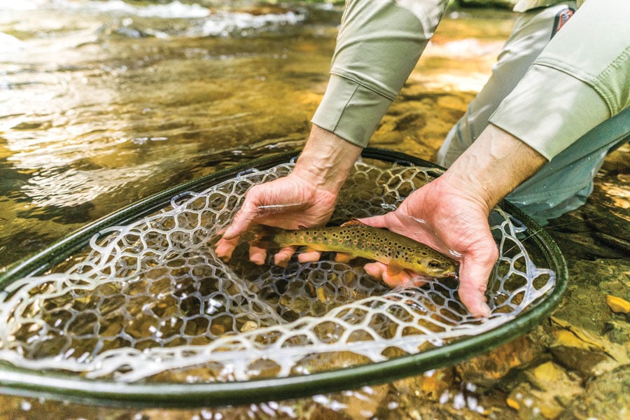 Full Suspensions and Fly Rods: Bikefishing in the Blue Ridge - Fly Fishing  - Blue Ridge Outdoors Magazine