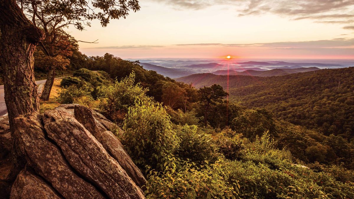 A Murder In The Woods The Mystery Behind Shenandoah National Park S Last Homicide A Murder In The Woods The Mystery Behind Shenandoah National Park S Last Homicide