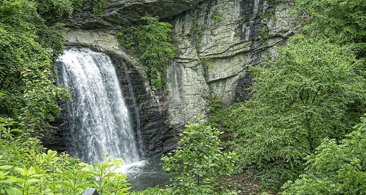 Best Trails For Toddlers