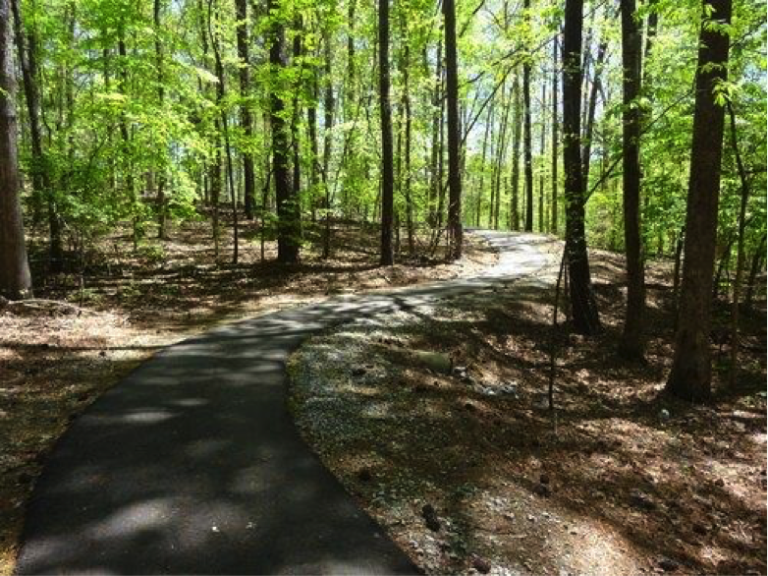 The Ten Best Fall Trails in Old 96 District Blue Ridge Outdoors Magazine