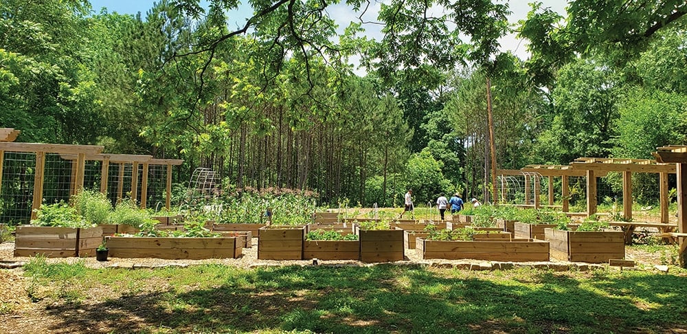 community garden