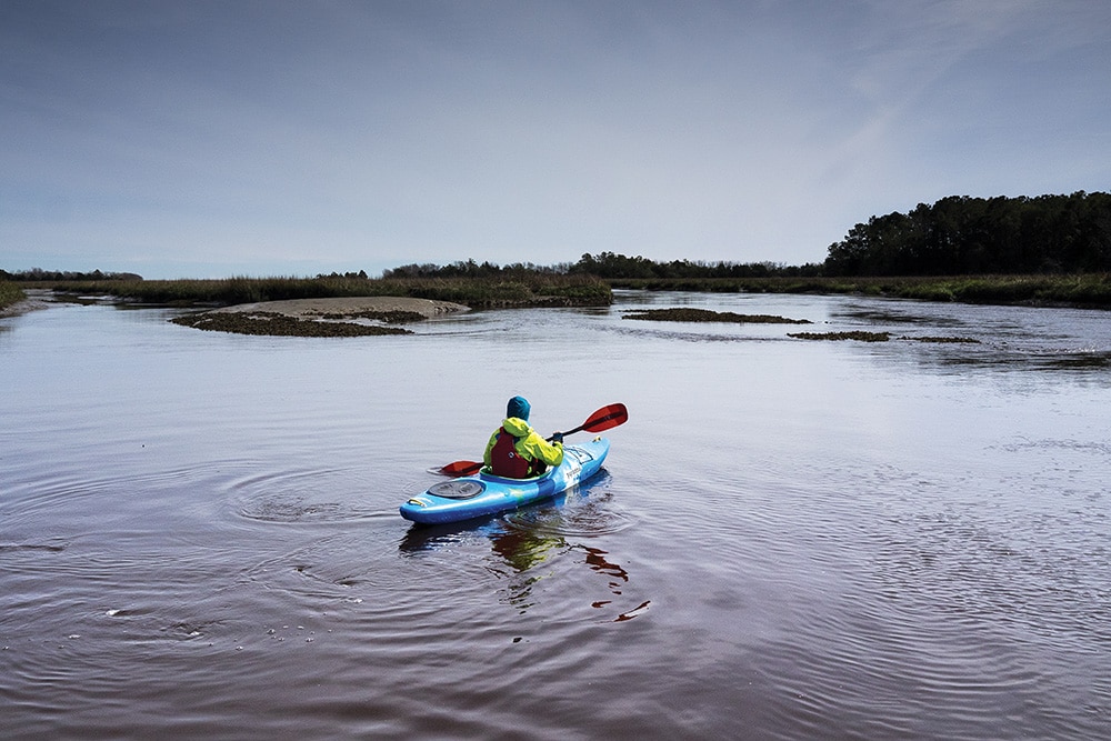 Paddling Awendaw Creek