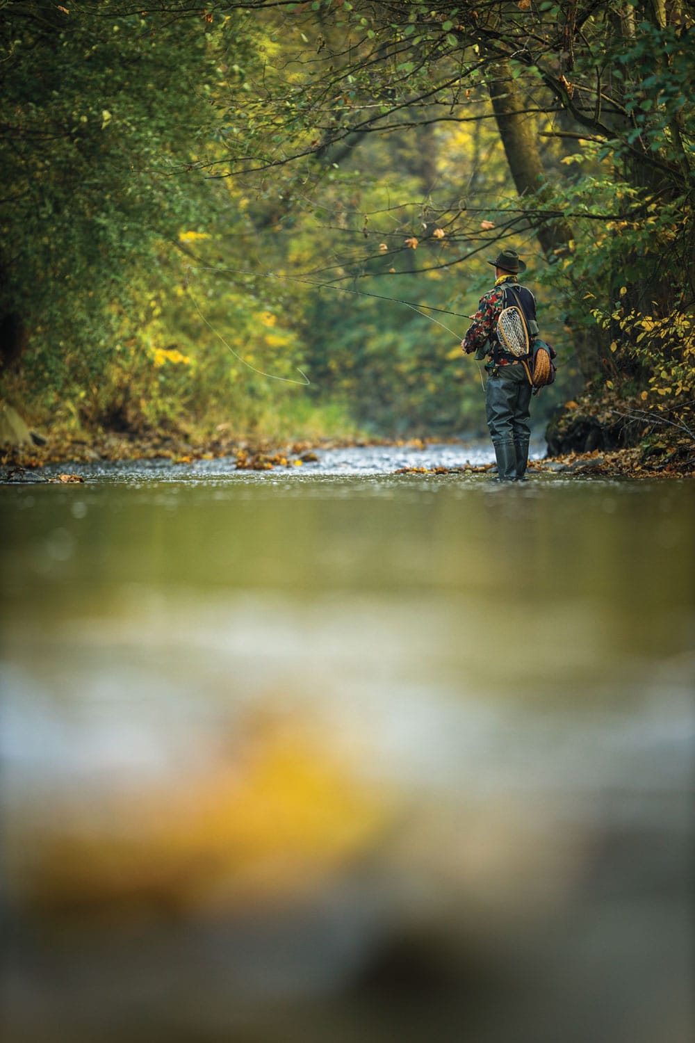 Blue Ridge Fly Fishing Guide Blue Ridge Outdoors Magazine
