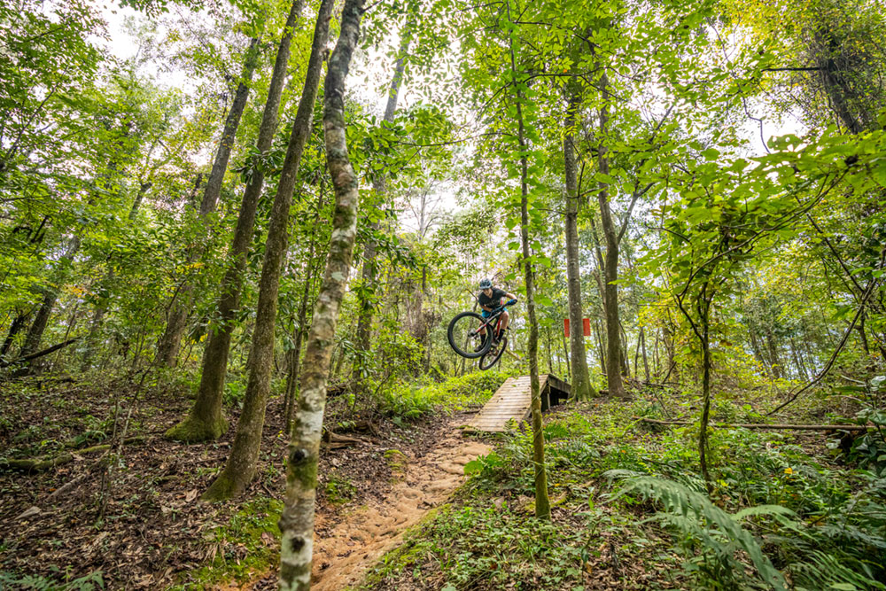 Tallahassee’s Pretty Unexpected Mountain Bike Trails Sponsored