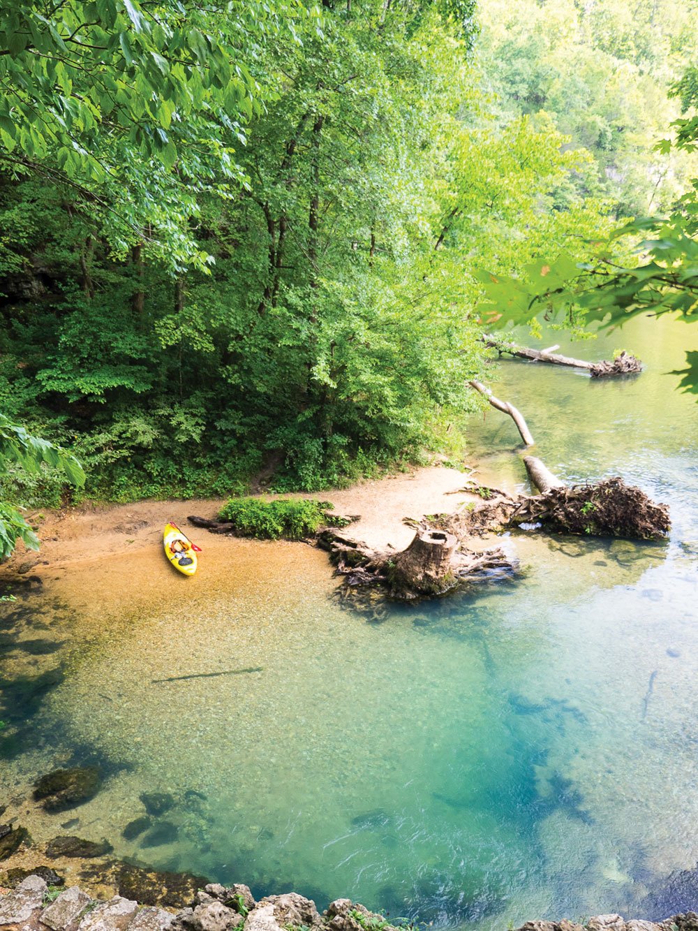 The Best Springs in the Ozarks and Southwest Missouri