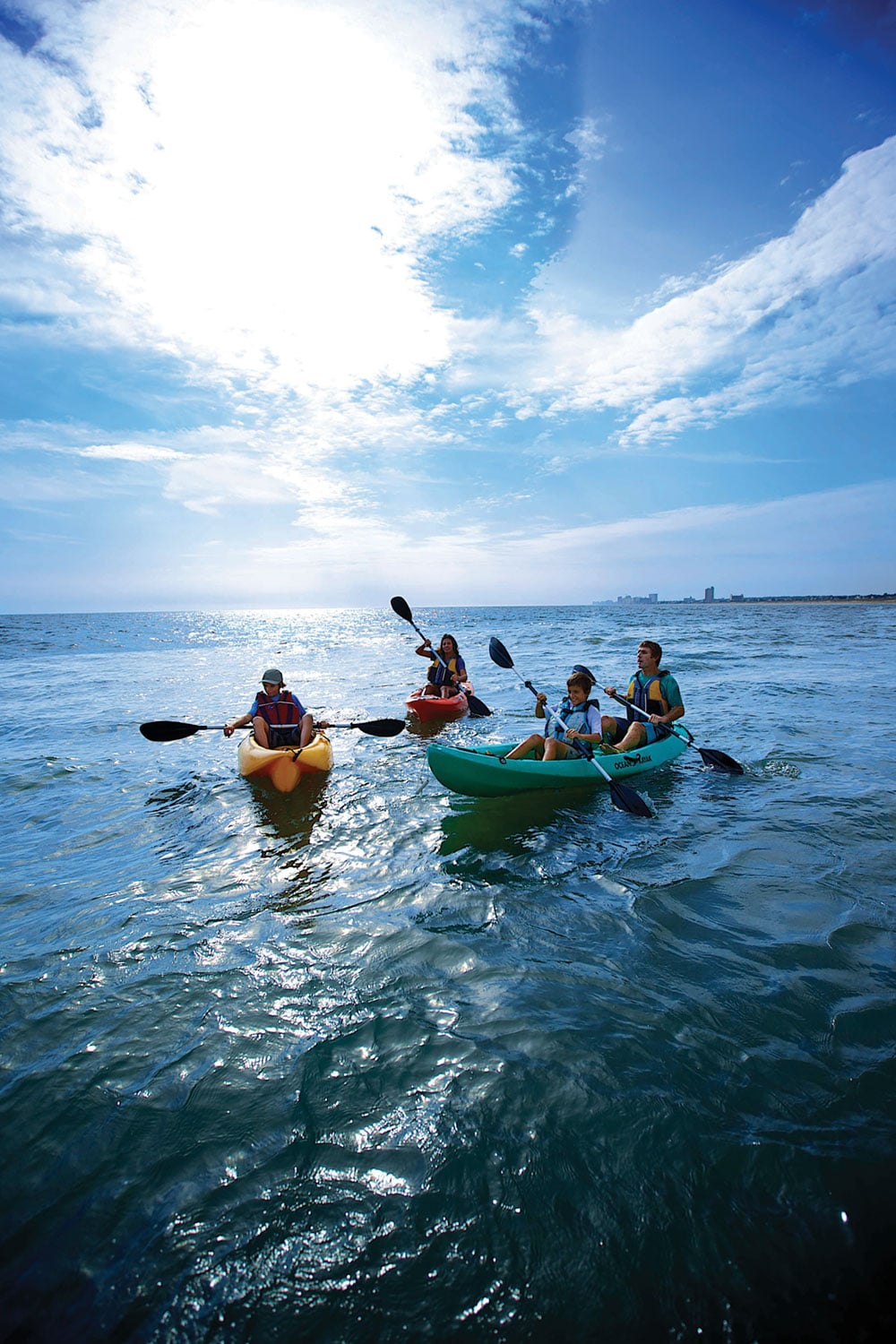 Kayaking with dolphins Virginia Beachh
