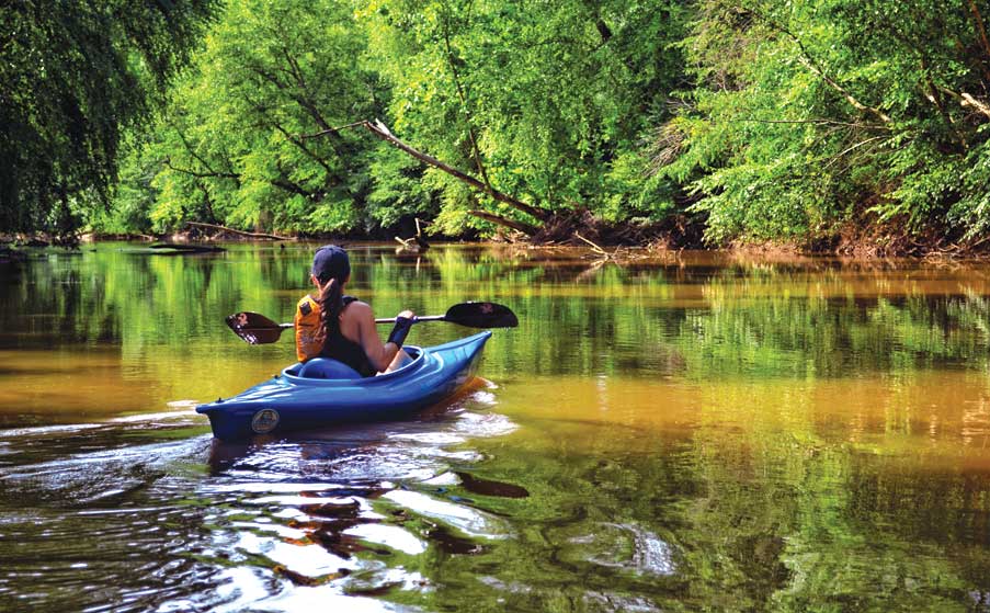 paddling the southern virginia wild blueway