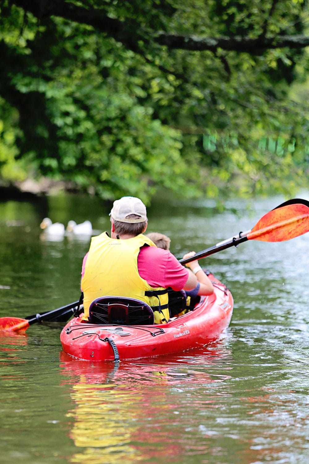 kayaking in Waynesboro