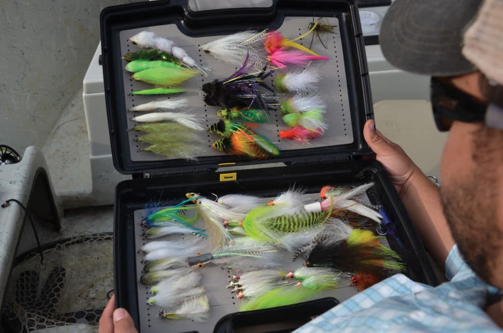 streamer box of bait for striped bass