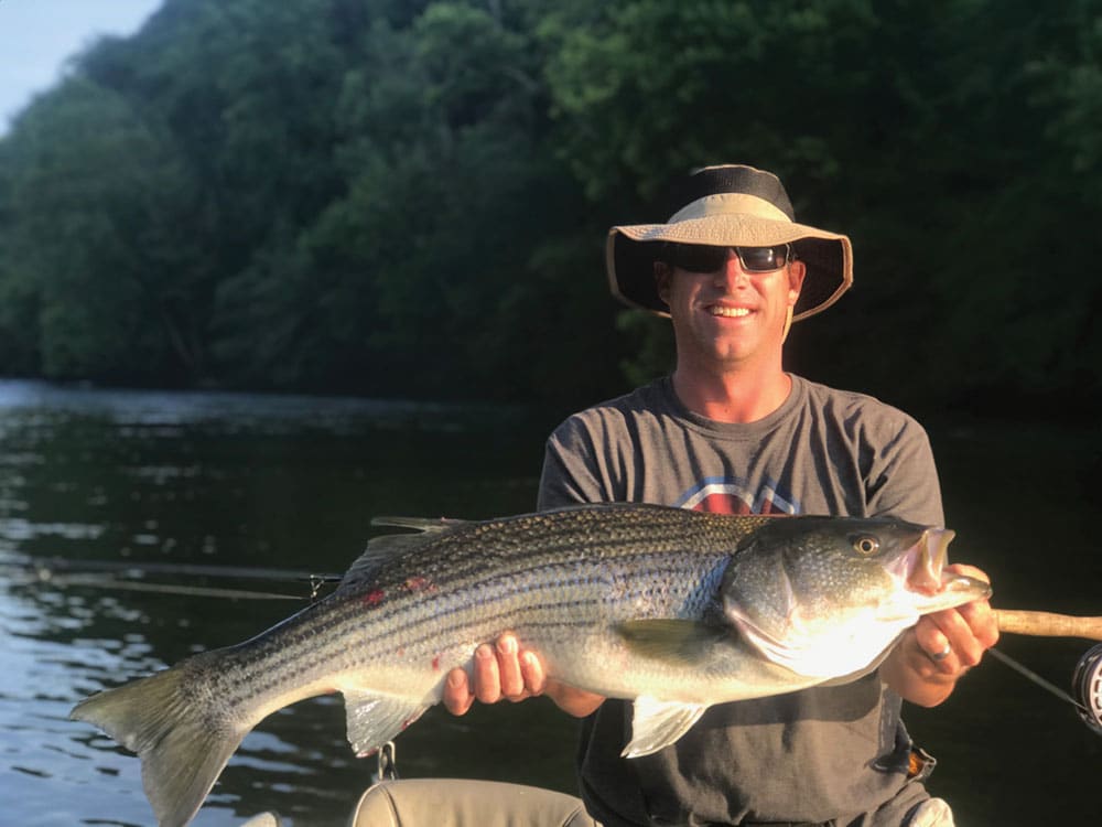 Striped Bass Fishing: Southern Summer Runs on the Fly - Fly Fishing - Blue  Ridge Outdoors Magazine
