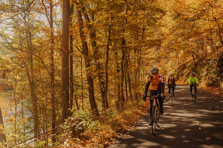 Road Cycling in Fall in Allegany County