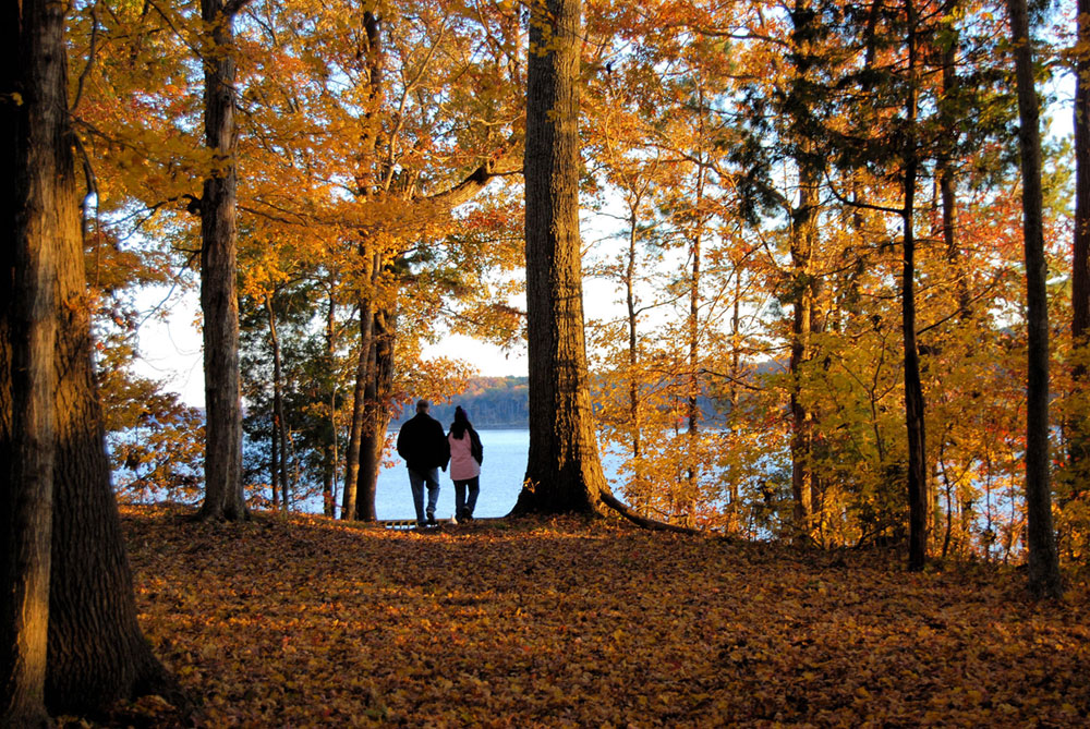 fall at virginia state parks
