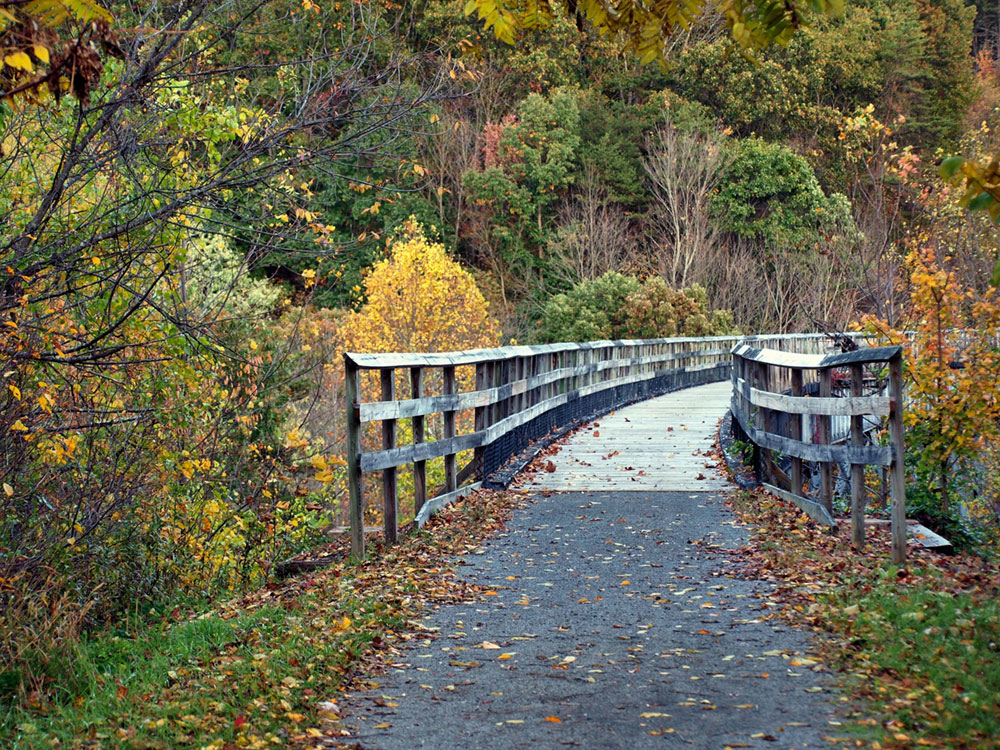 a bridge along the new river trail in a virginia state park