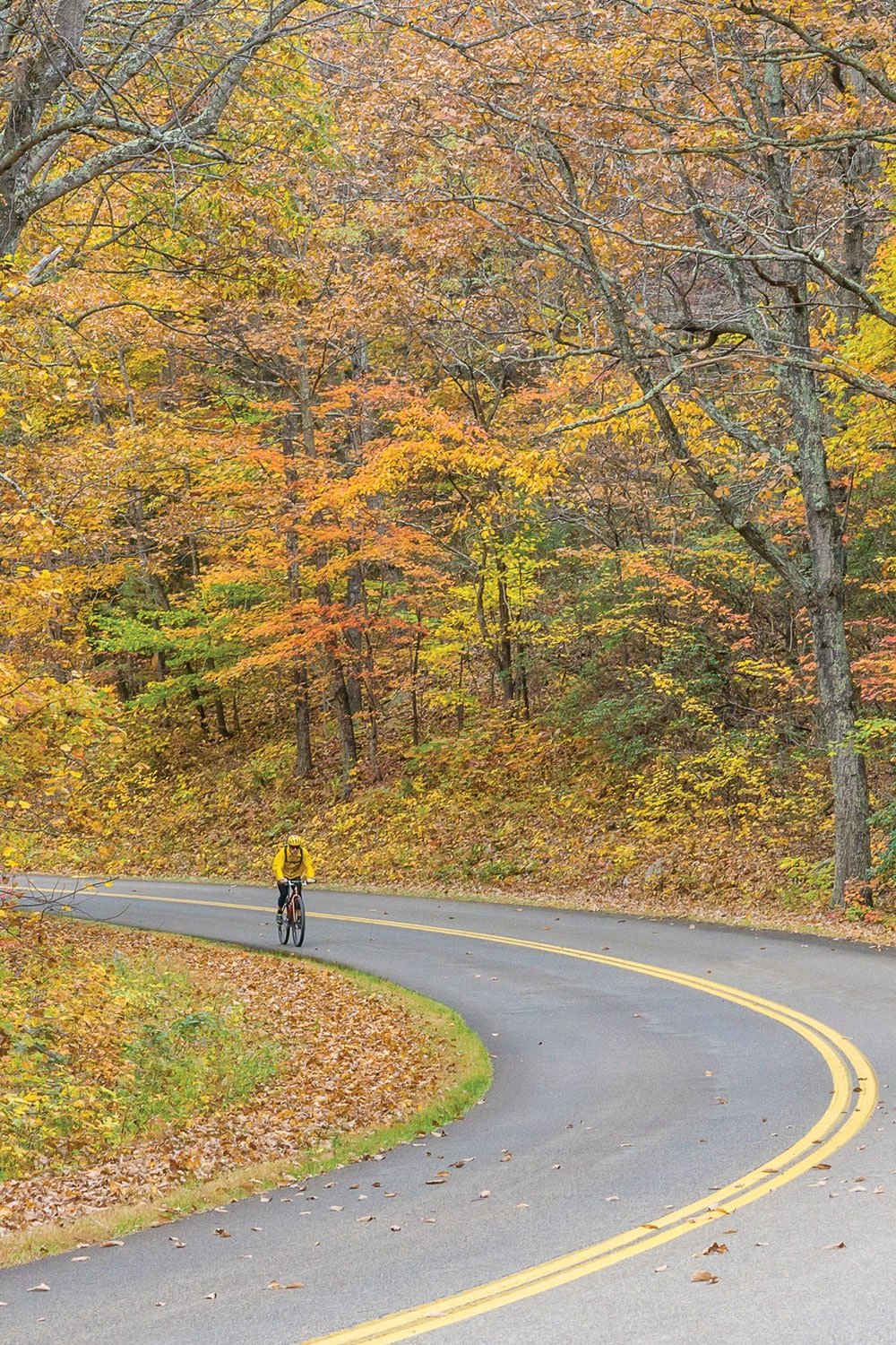 Cycling Blue Ridge Parkway