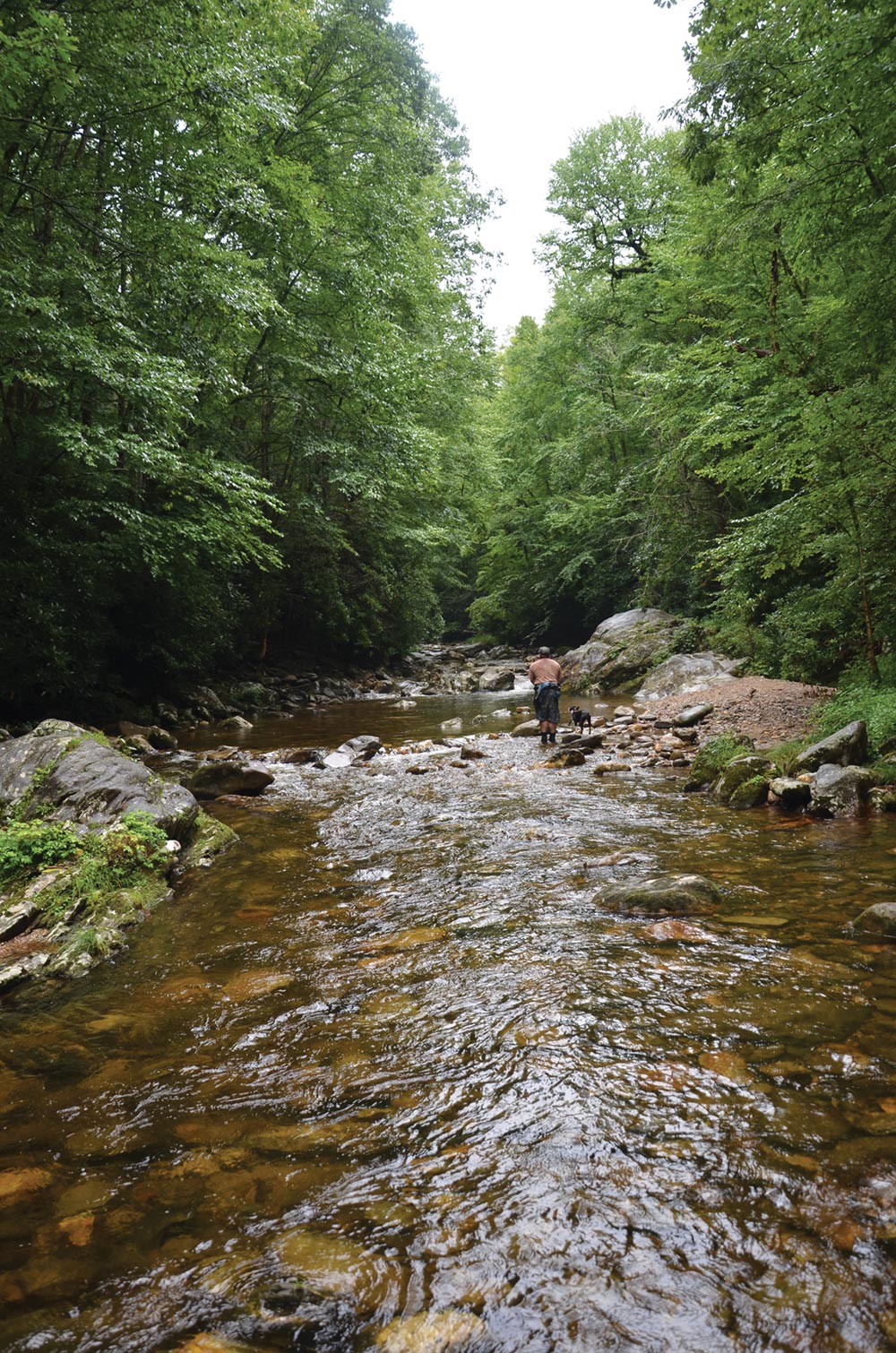 fishing for brook trout