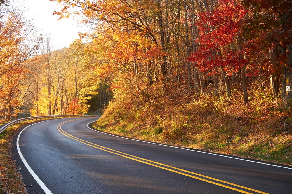 fall mountain roadss