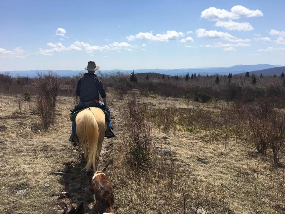 The Virginia Highlands Horse Trail 