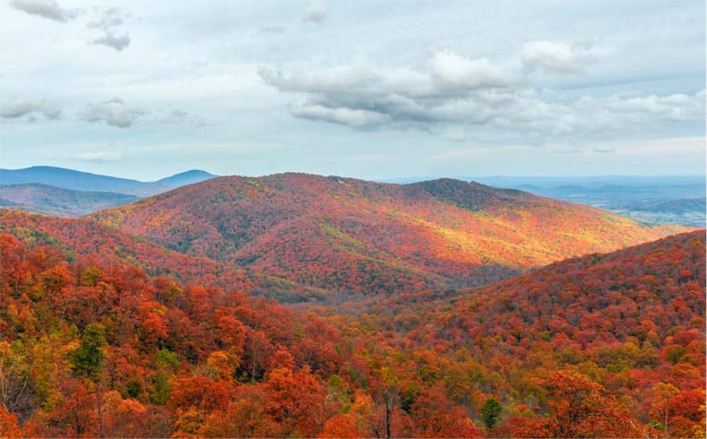 Shenandoah Valley fall foliage