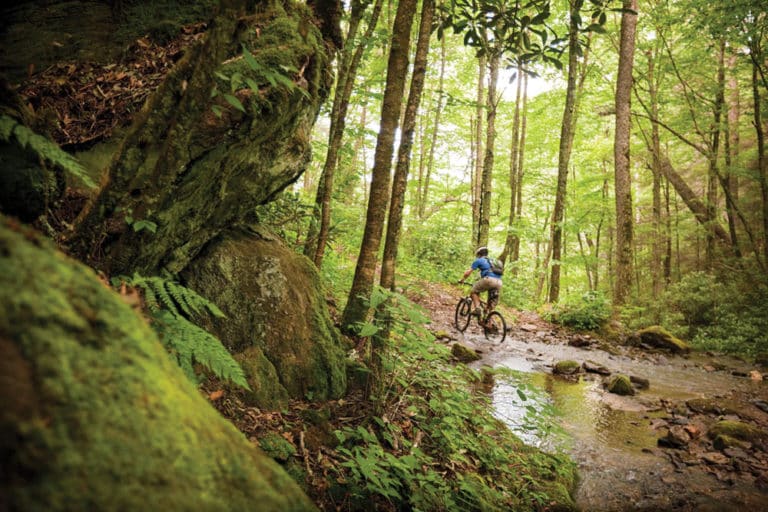 cyclist in forest
