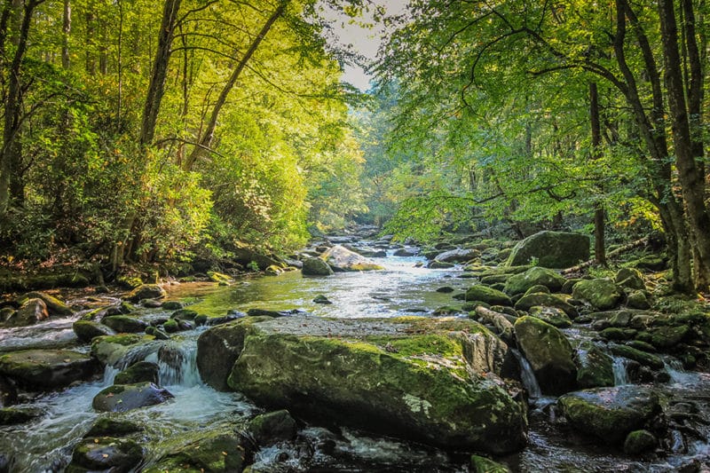 Park It Forward New Fees at Great Smoky Mountains National Park