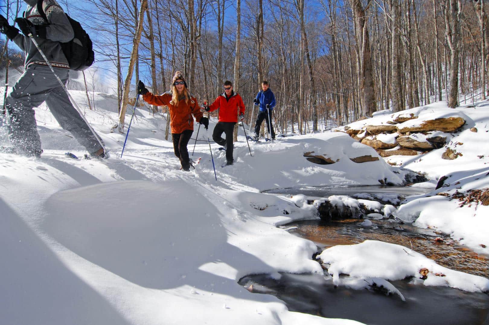 Snowshoeing the South