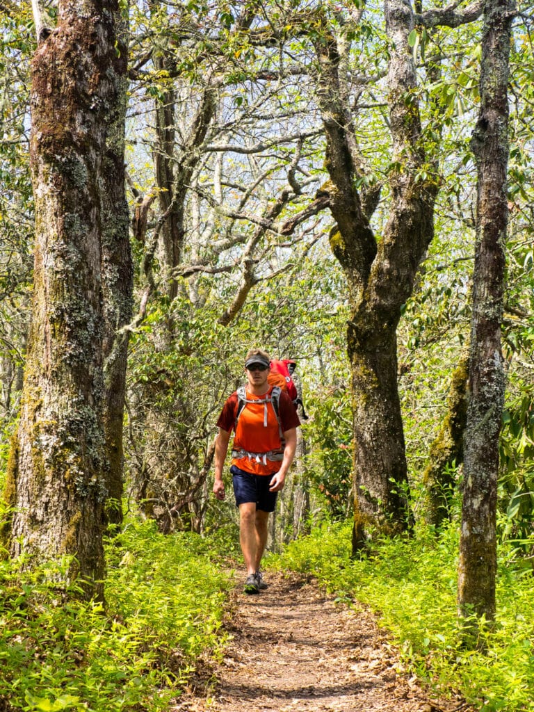 Hiker wearing a red and orange shirt and blue pants treks through a wooded forest on a dirt trail.